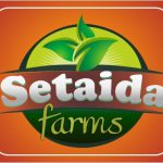 Setaida-Logo