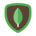mongodb