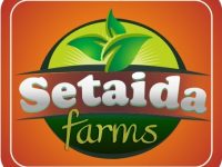 Setaida-Logo